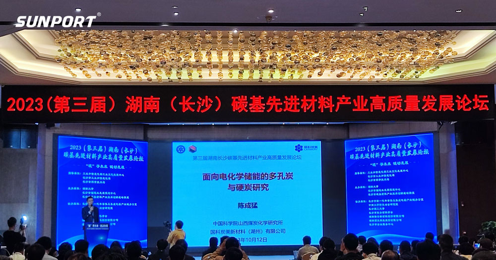 长沙尊龙抖圈官网智能参加湖南碳基先进材料高质量发展论坛